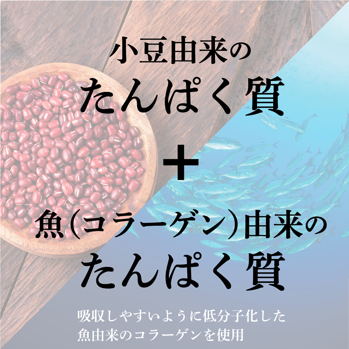 ギュッとたんぱく美ようかん