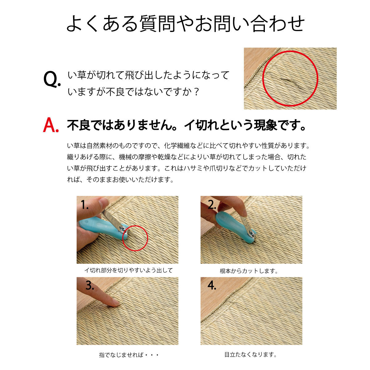 畳ヨガマット＿スカイシー 66×185