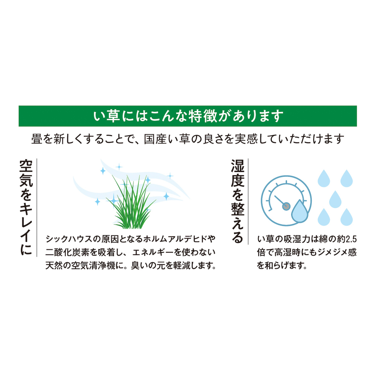 畳の表替え・新調全国出張サービス ※北海道・沖縄・離島を除く
