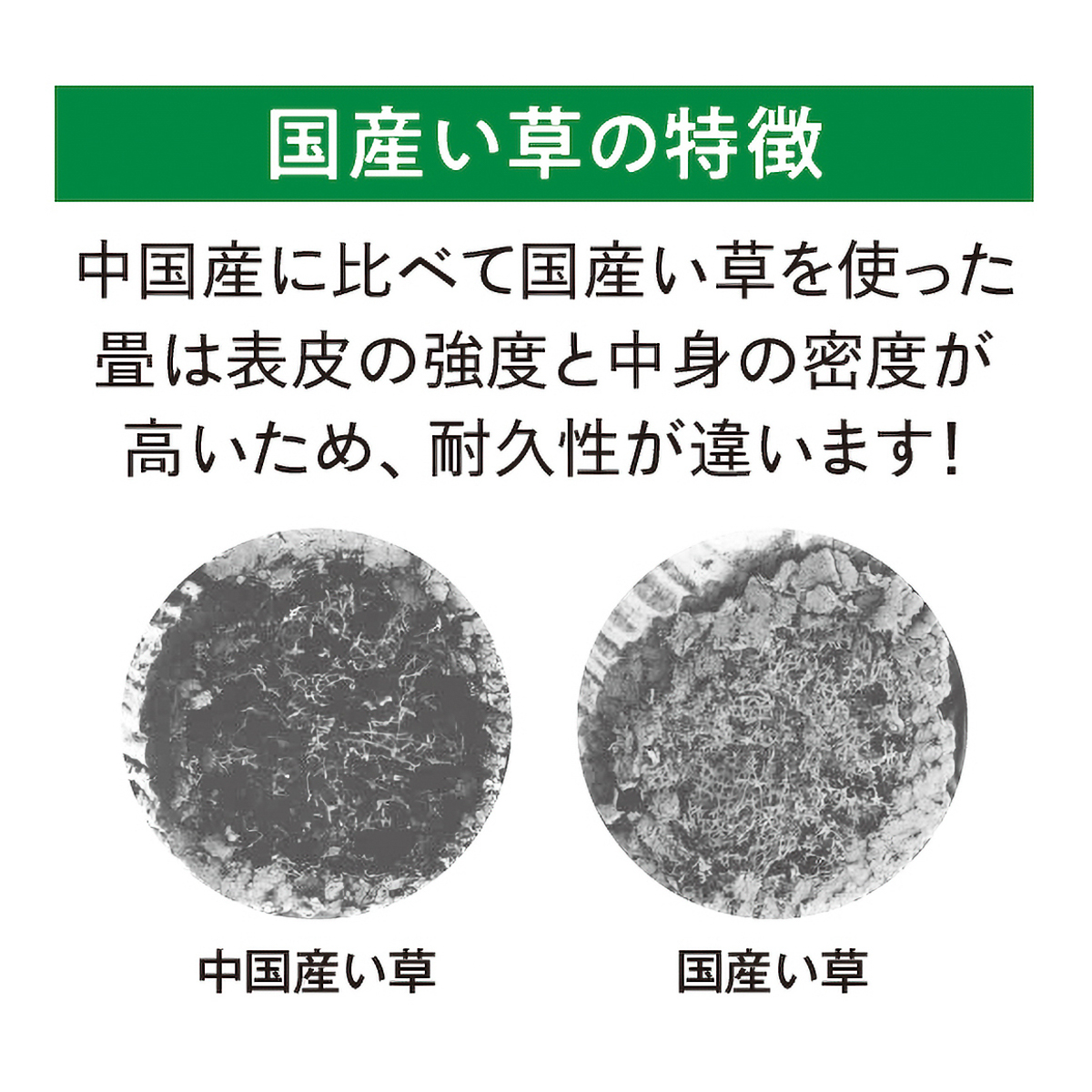 畳の表替え・新調全国出張サービス ※北海道・沖縄・離島を除く