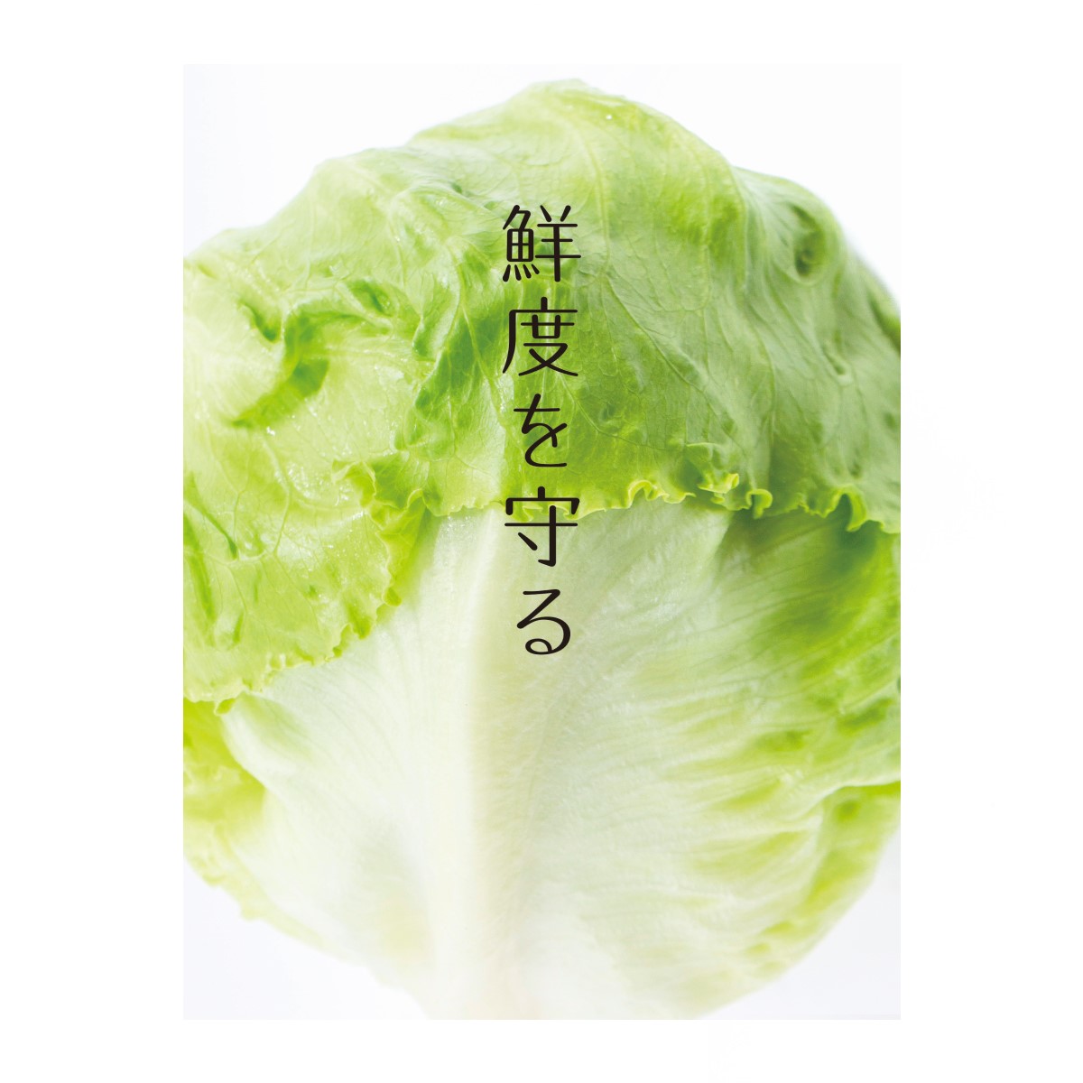 bio cera 鮮度保持