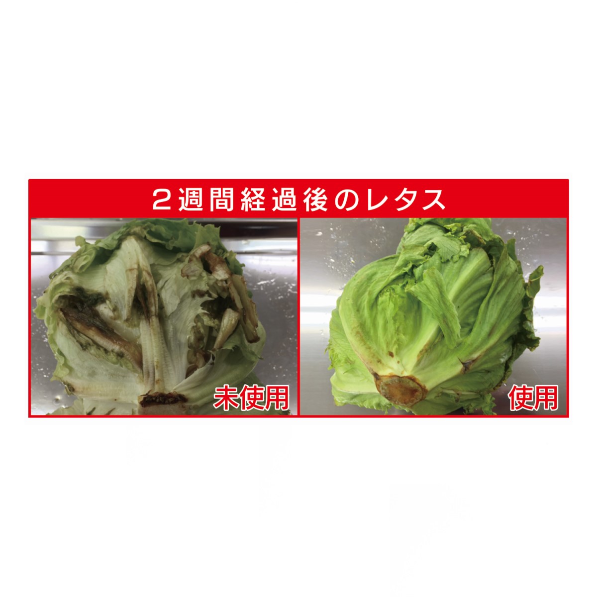 bio cera 鮮度保持