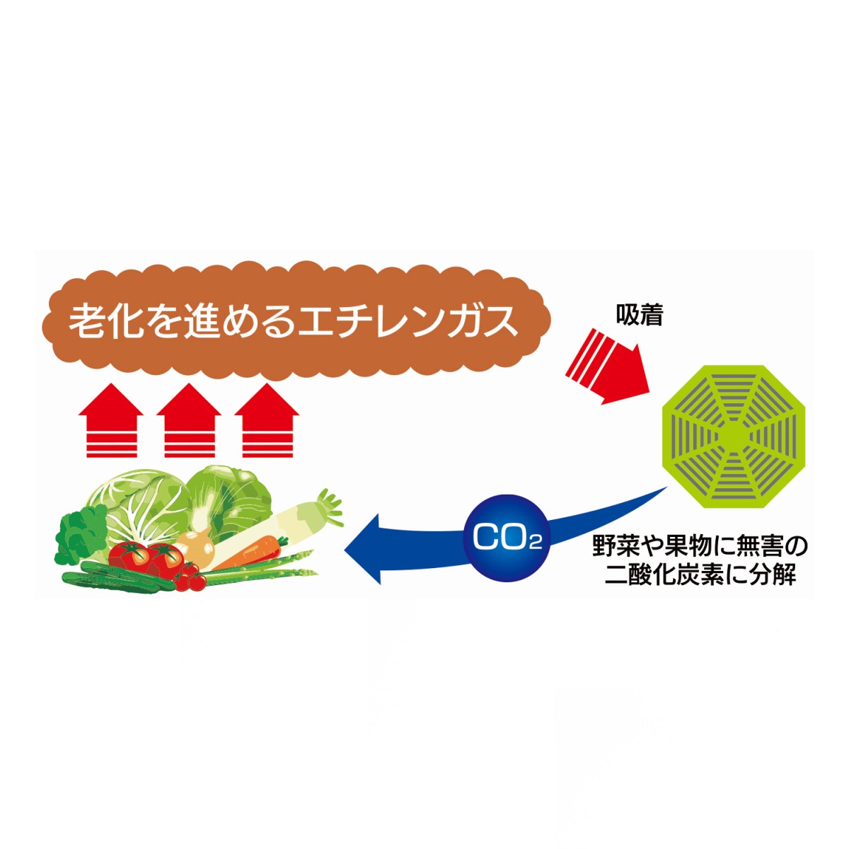 bio cera 鮮度保持