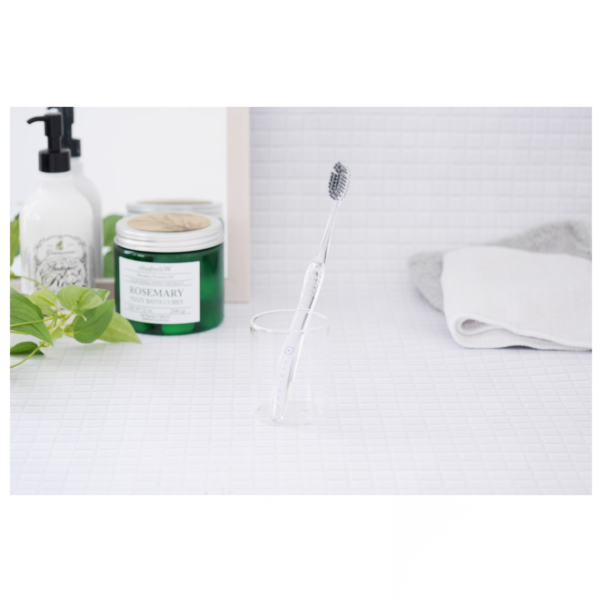 SUMINO 歯ブラシ（レギュラー）