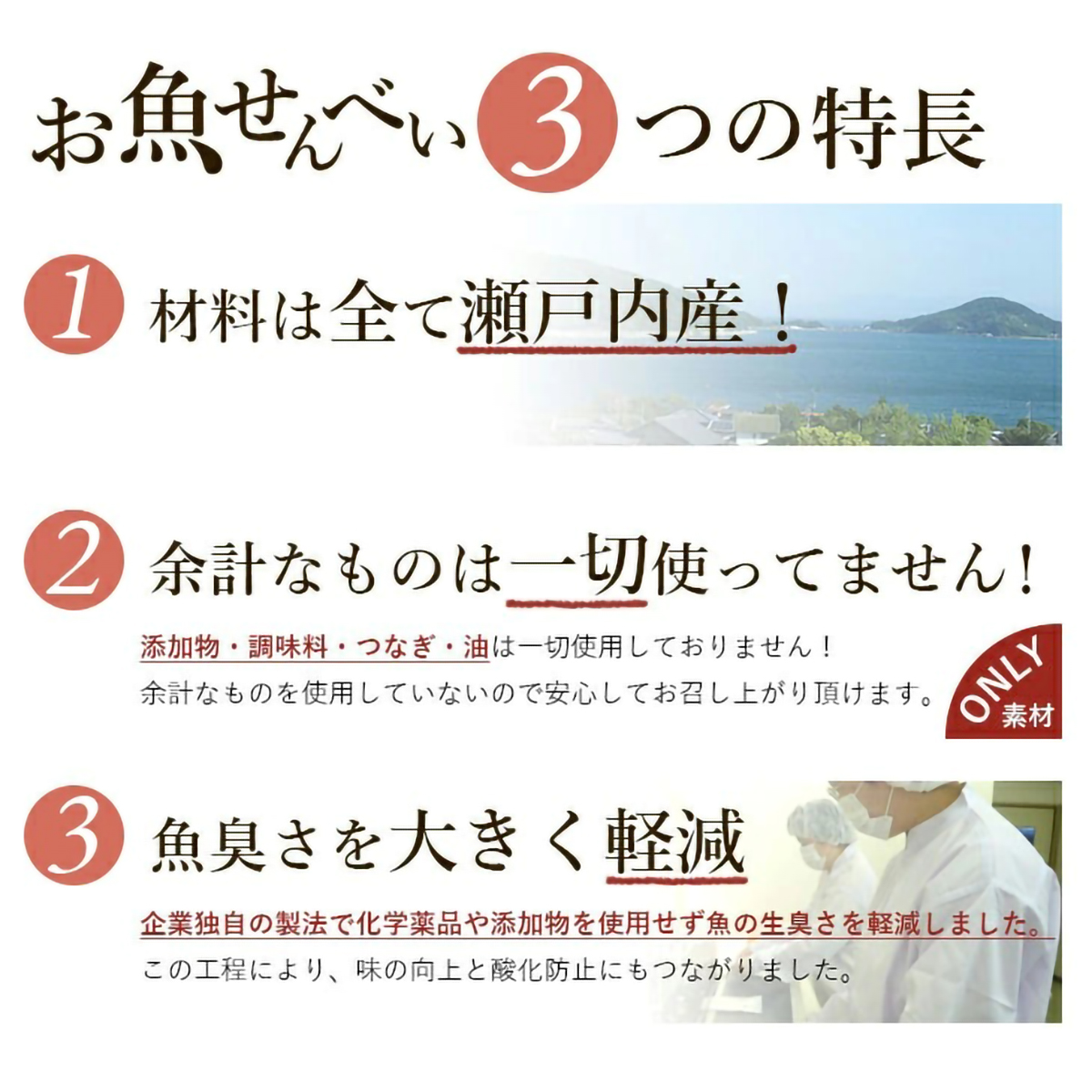 【一ノ蔵】じいじいが作ったお魚せんべい いりこ