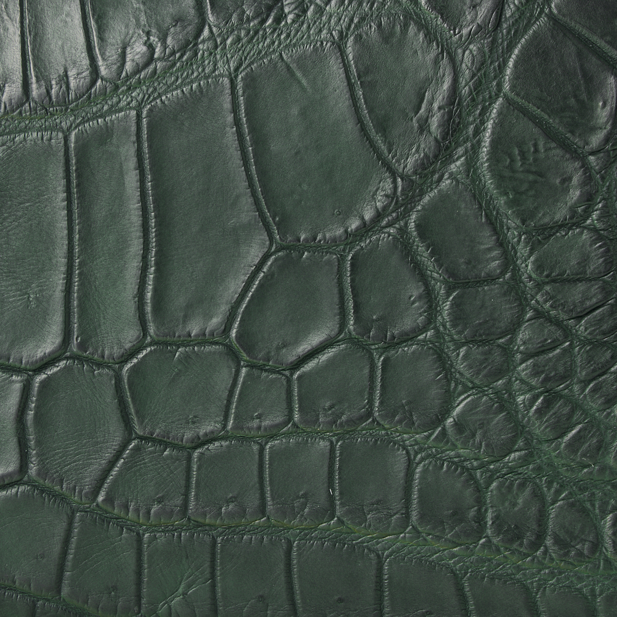 Creed crocodile ラウンドロングウォレット