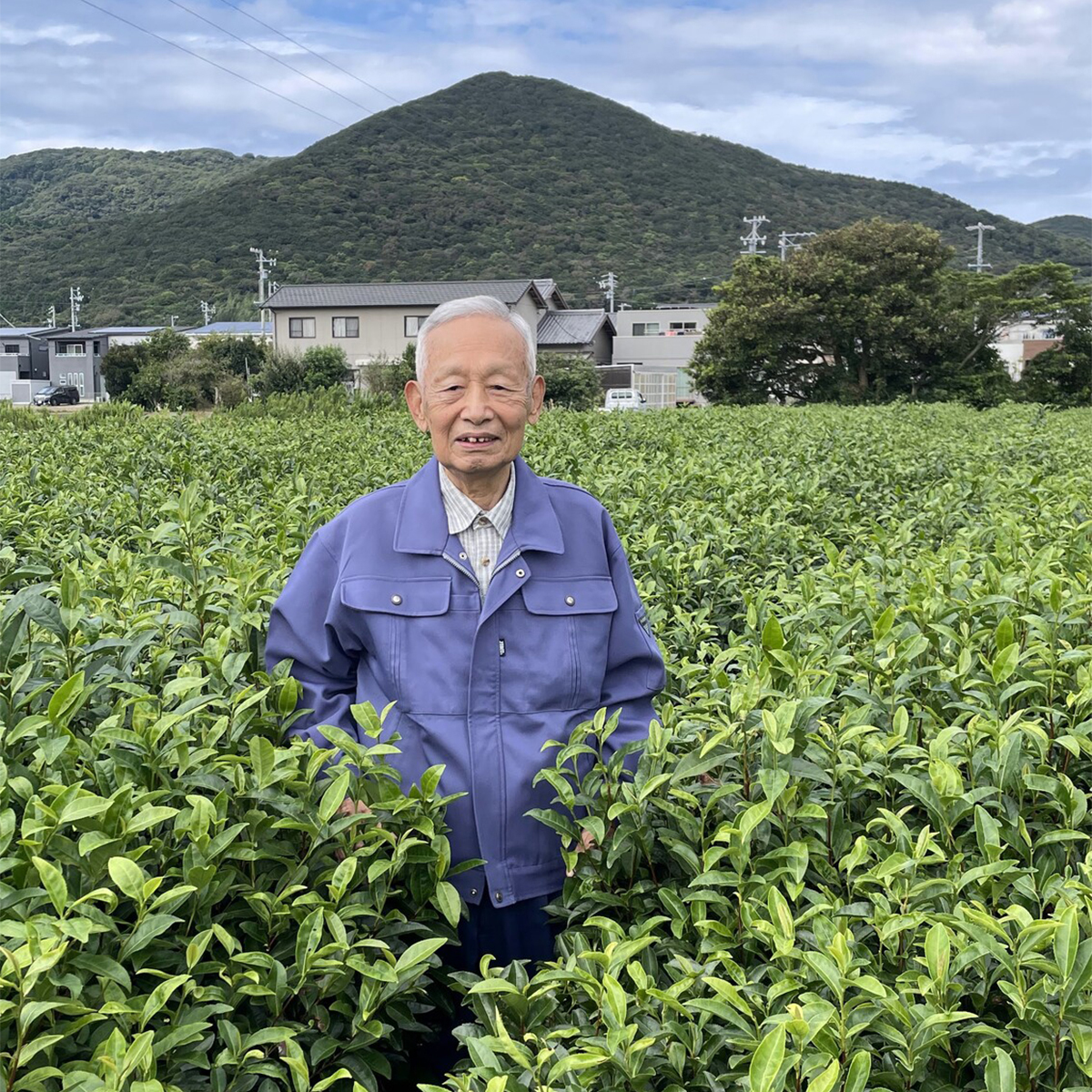 深蒸し煎茶「義人」100g 260120