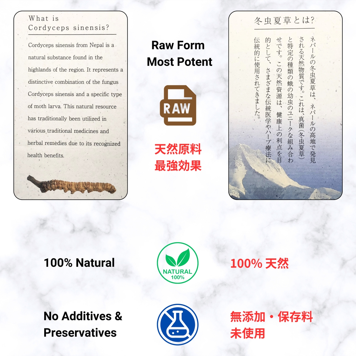 冬虫夏草