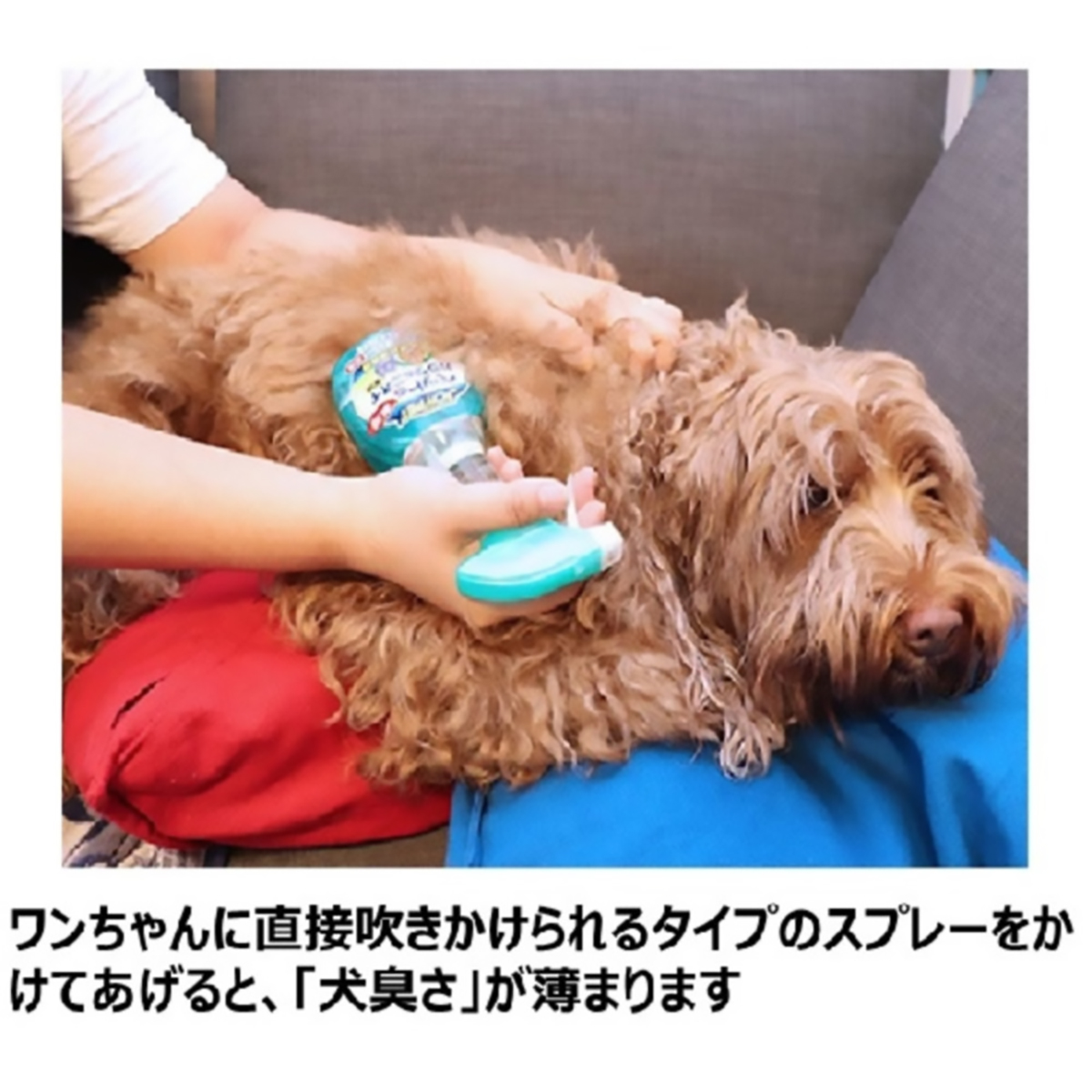 【ペット】ジョイペット　天然成分消臭剤ペットのデオドラント専用詰替　２４０ｍｌ