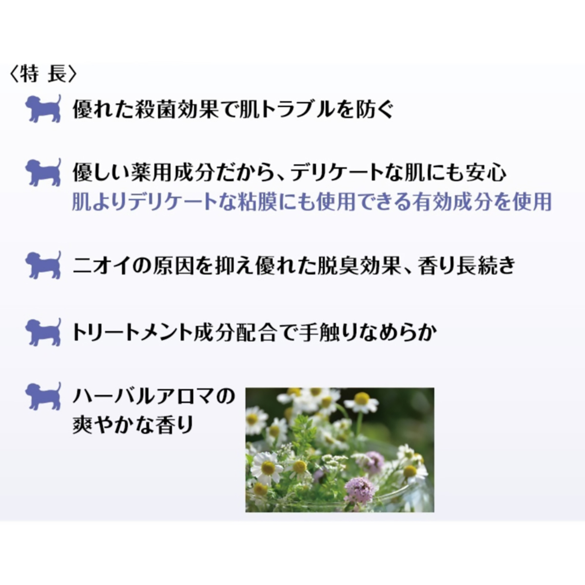 【ペット】デリケートな愛犬の薬用肌ケアシャンプー　３５０ｍｌ