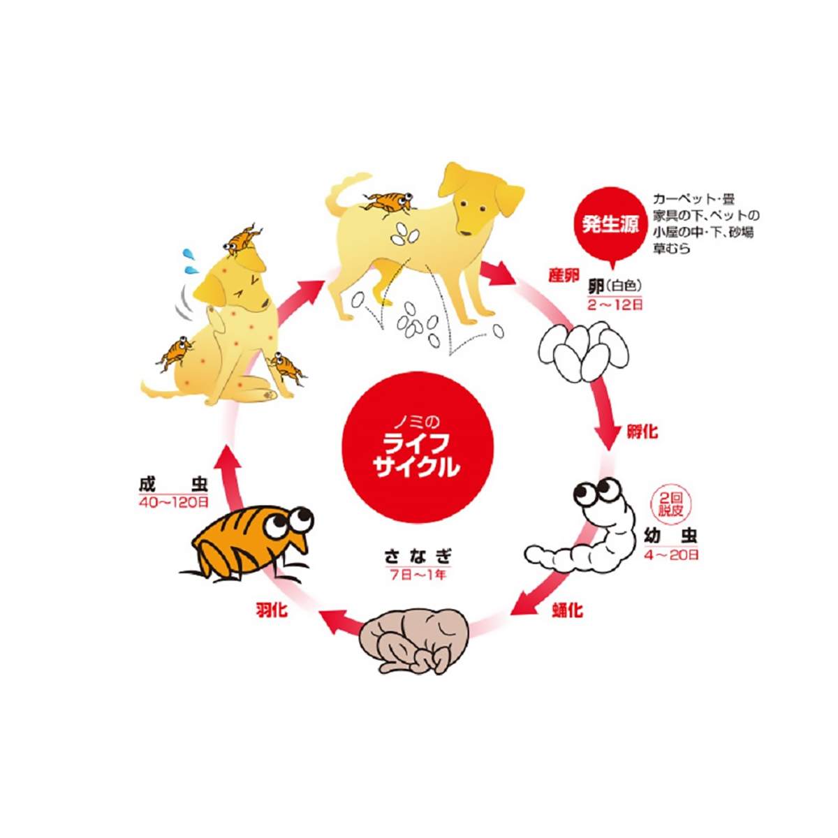 【ペット】薬用ノミ・マダニとり＆蚊よけ首輪　中型・大型犬用　