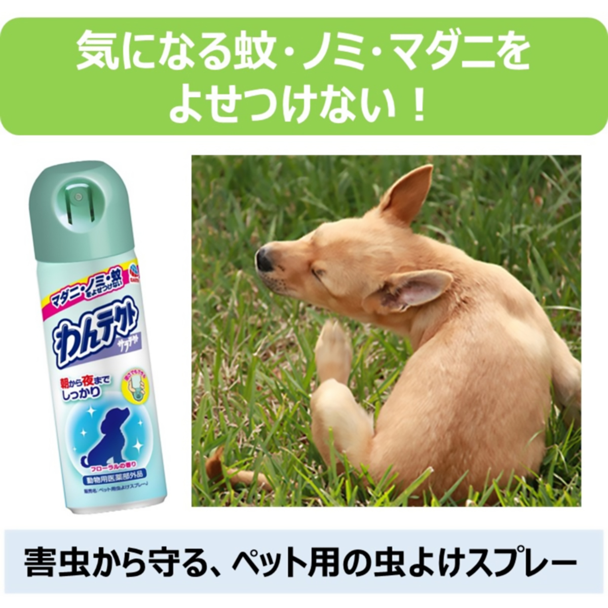 【ペット】わんテクトスプレー　犬猫用　２００ｍｌ