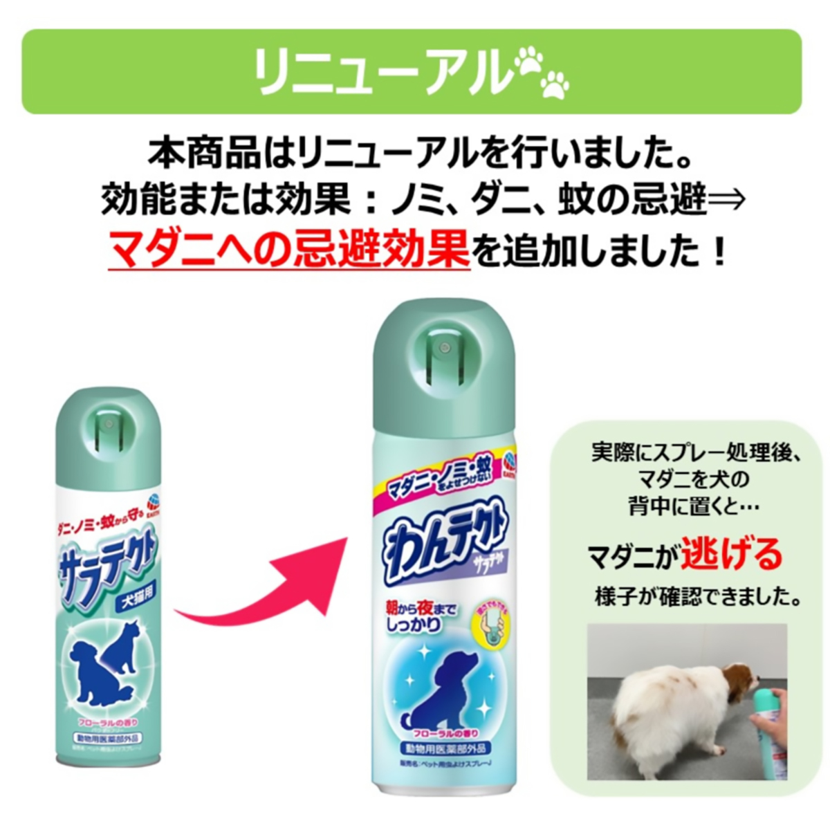 【ペット】わんテクトスプレー　犬猫用　２００ｍｌ