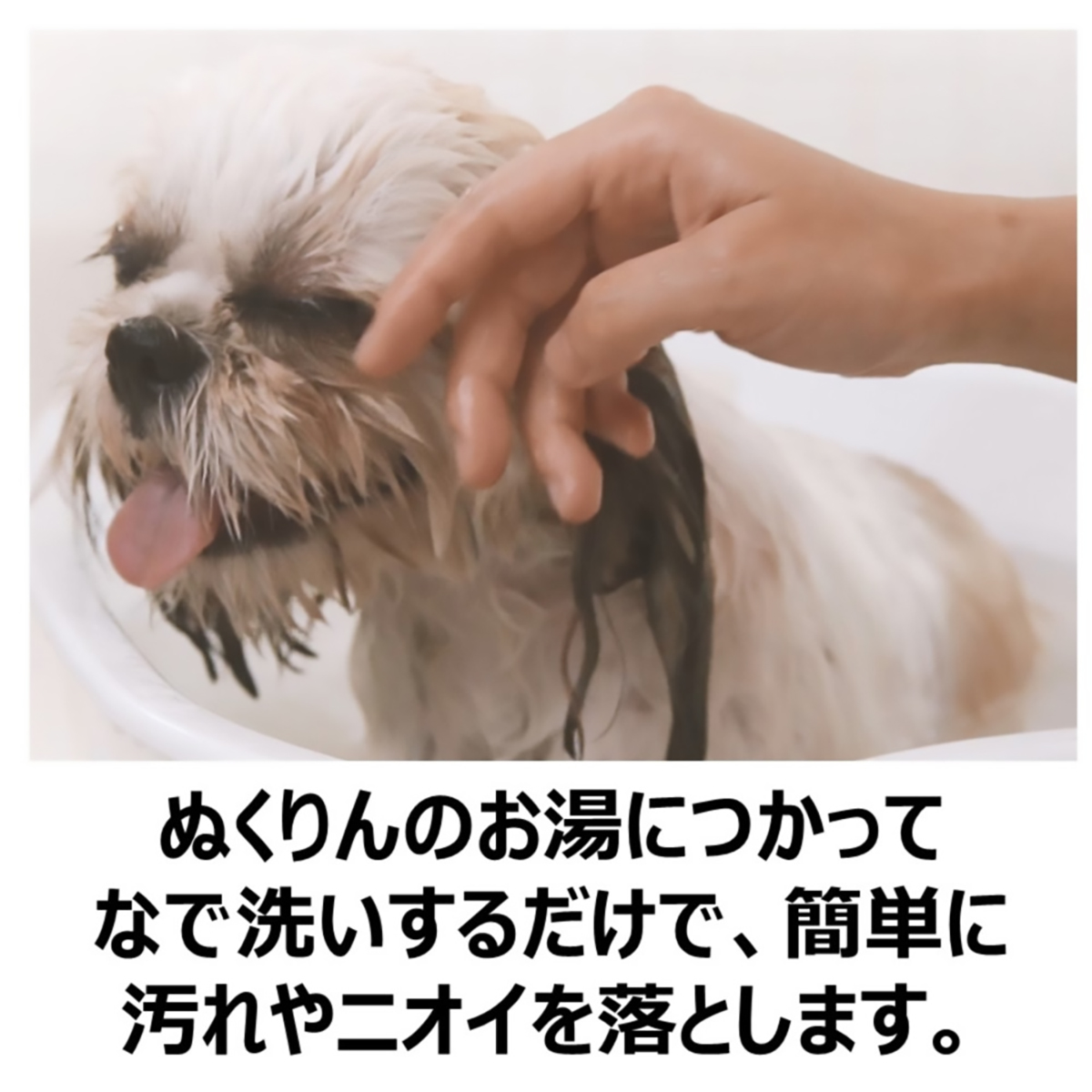 【ペット】愛犬用　炭酸入浴剤ぬくりん　森林の香り　３００ｇ