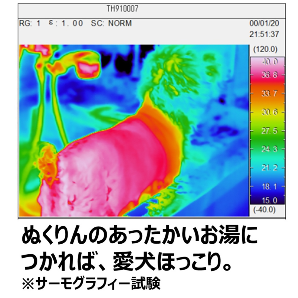 【ペット】愛犬用　炭酸入浴剤ぬくりん　バラの香り　３００ｇ