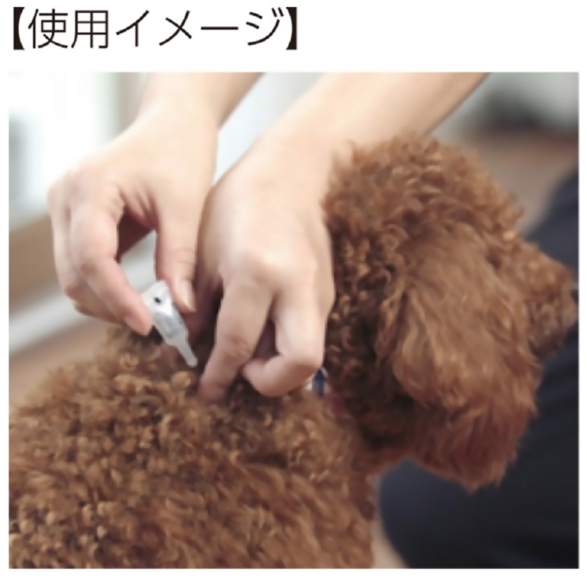 【ペット】薬用ショットオン大型犬用　３．２ｇ