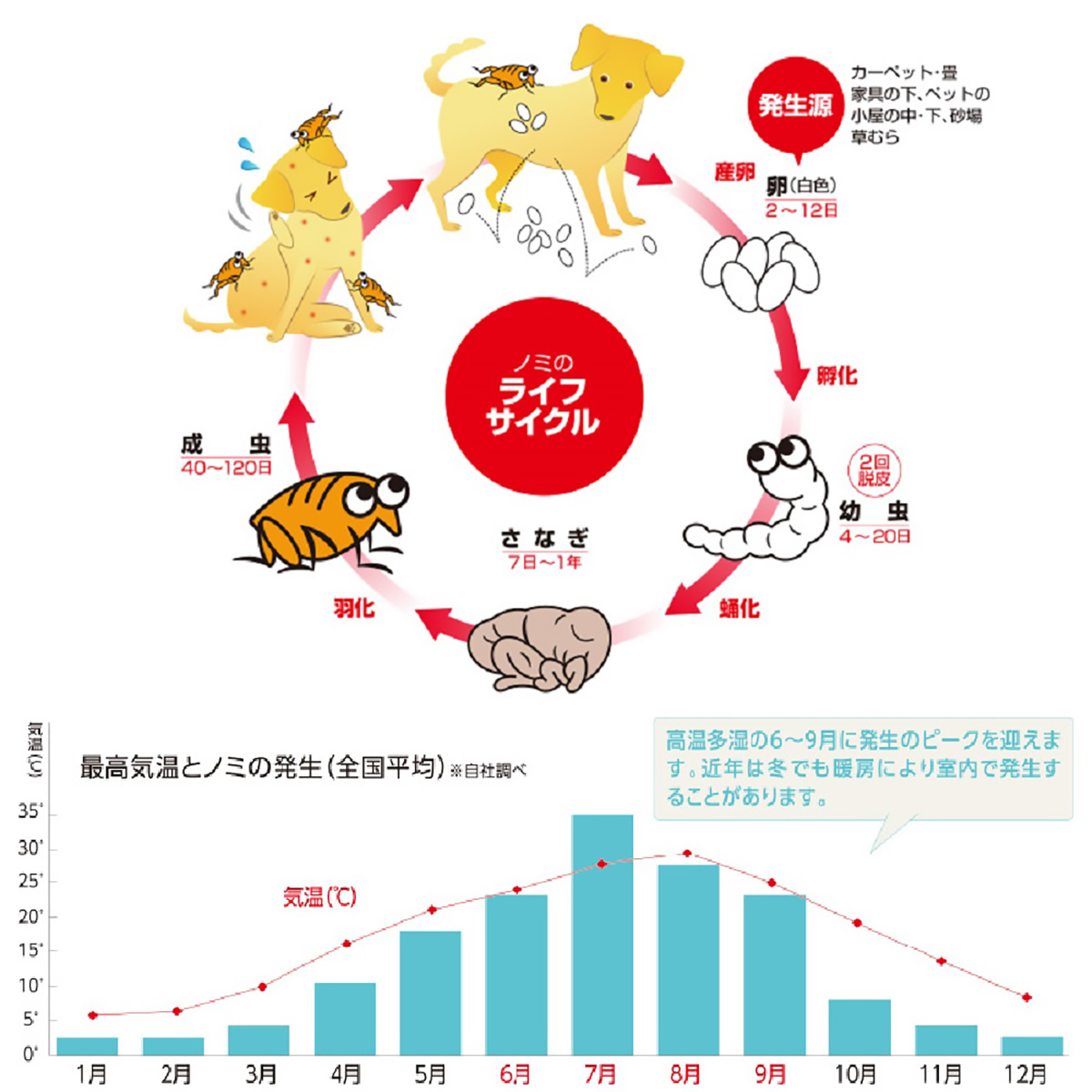 【ペット】薬用ショットオン小型犬用　０．８ｇ