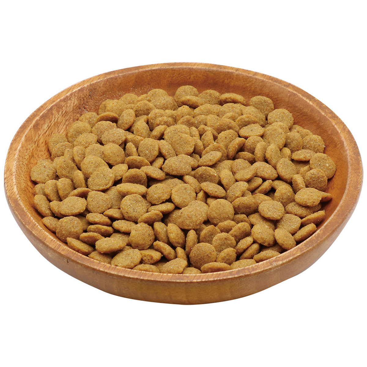 【ペット】プラクト キャット ドライフード 幼猫‐成猫用 チキン味 80g 270331