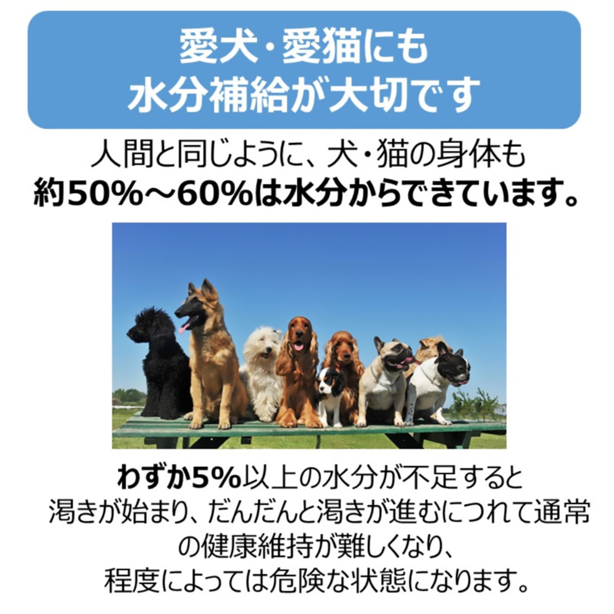 【ペット】ペットスエットゼリー　犬用　２０ｇ×７本 270731