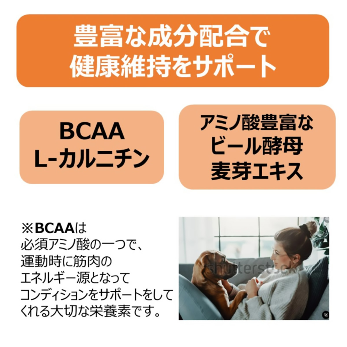 【ペット】アミノペッツ 500ml 261109