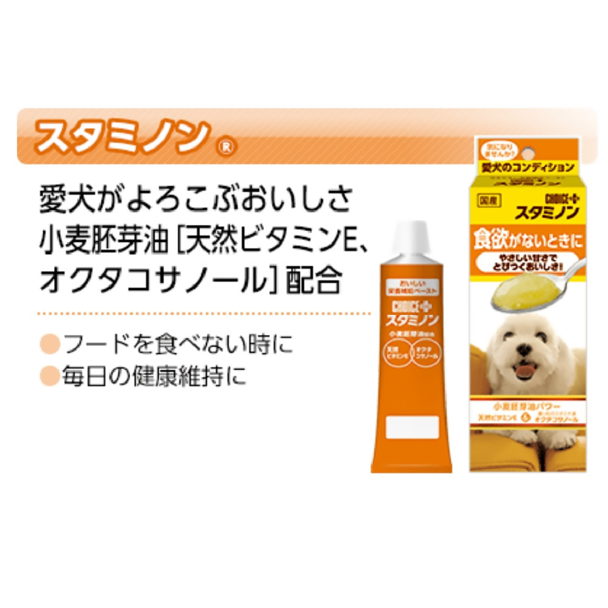 【ペット】チョイスプラススタミノン 食欲がないときに 40g