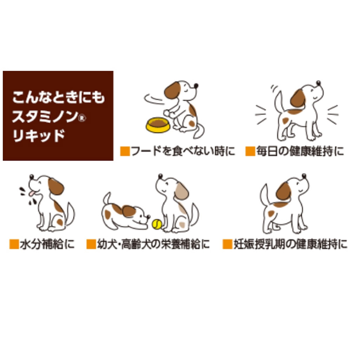 【ペット】チョイスプラススタミノンリキッド 40g