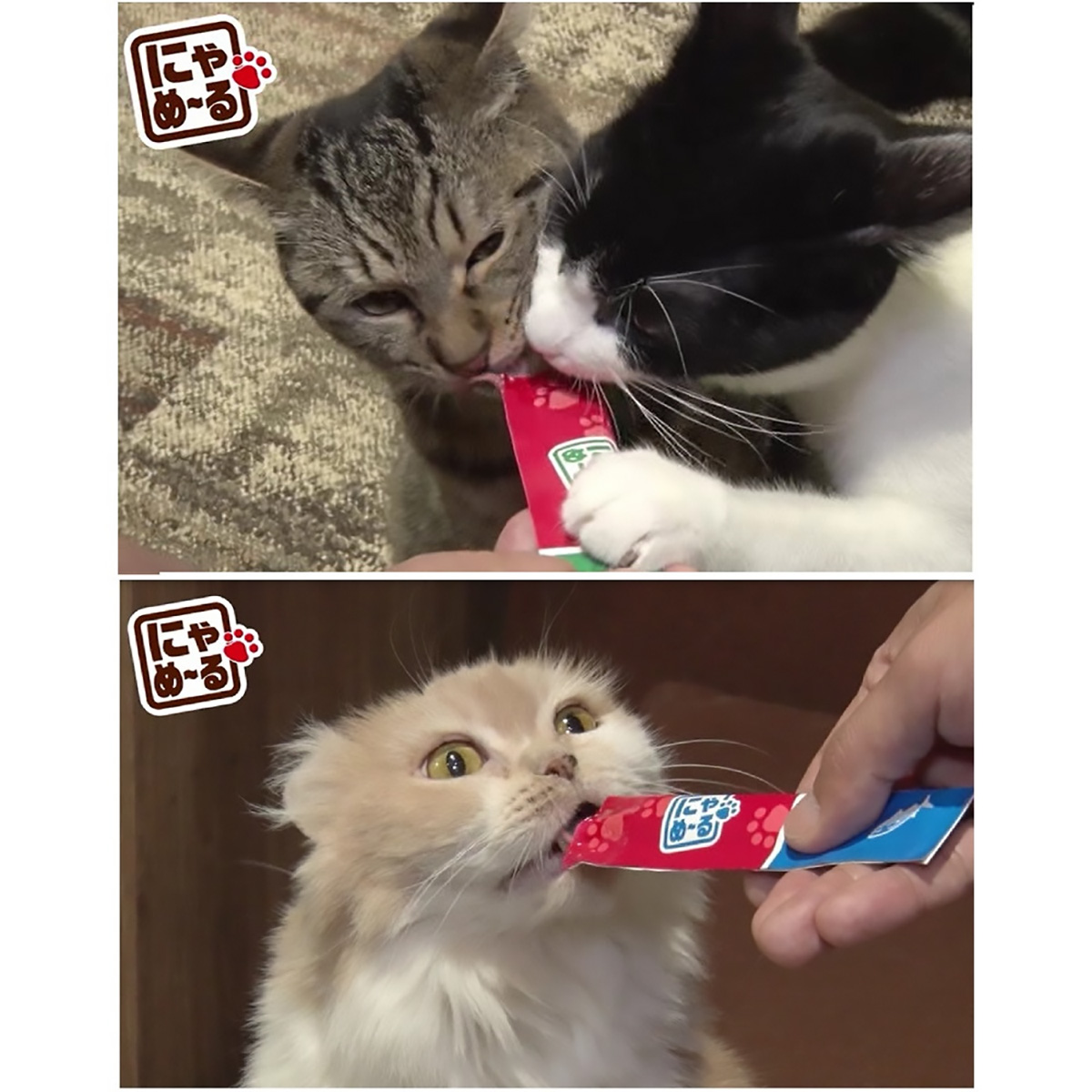 【ペット】にゃめーる　まぐろ　５本