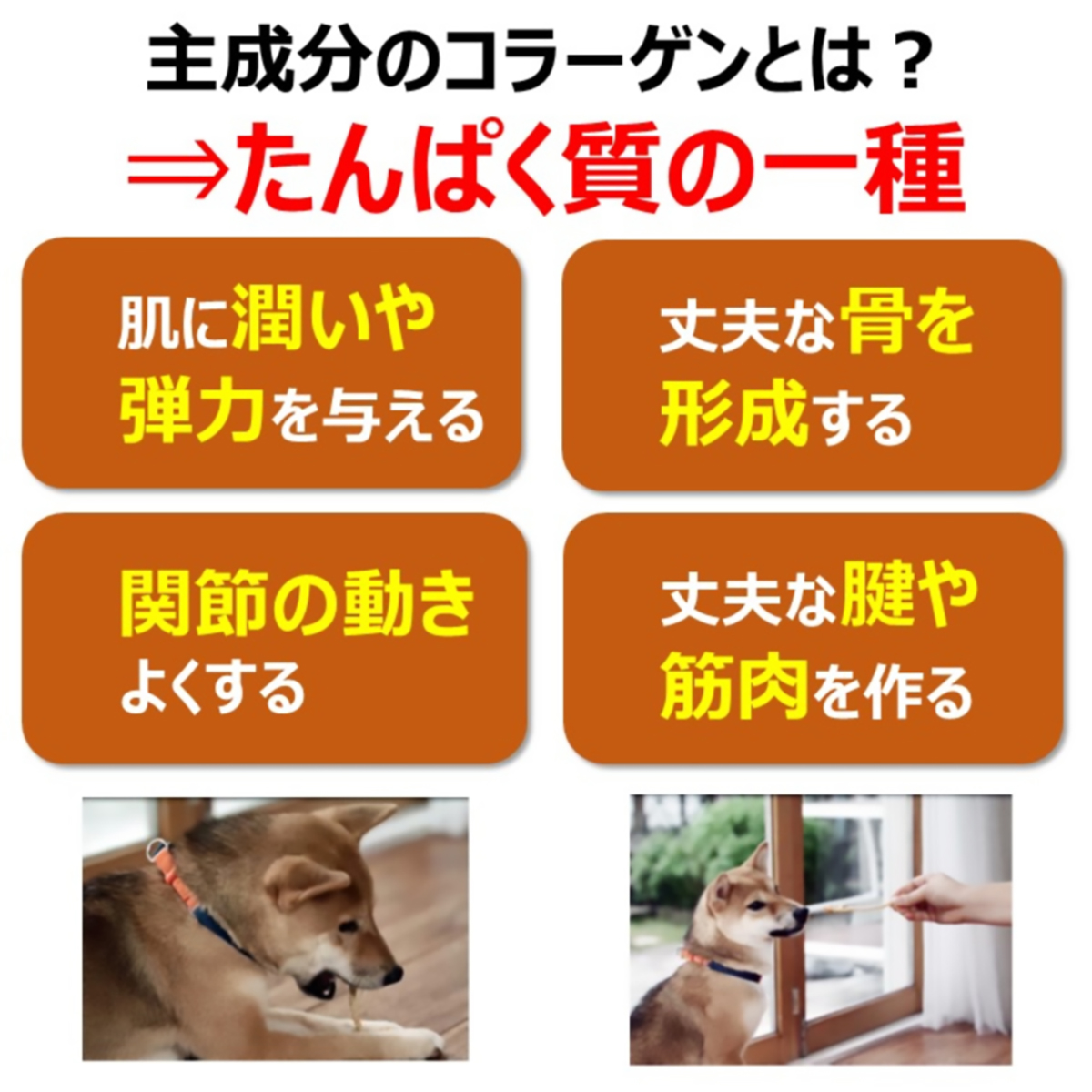 【ペット】食べられる歯みがきロープ愛犬用コラーゲンＳＳ　７本 270331