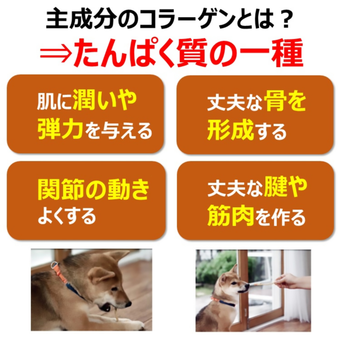 【ペット】食べられる歯みがきロープ愛犬用コラーゲンＳ　５本 270228