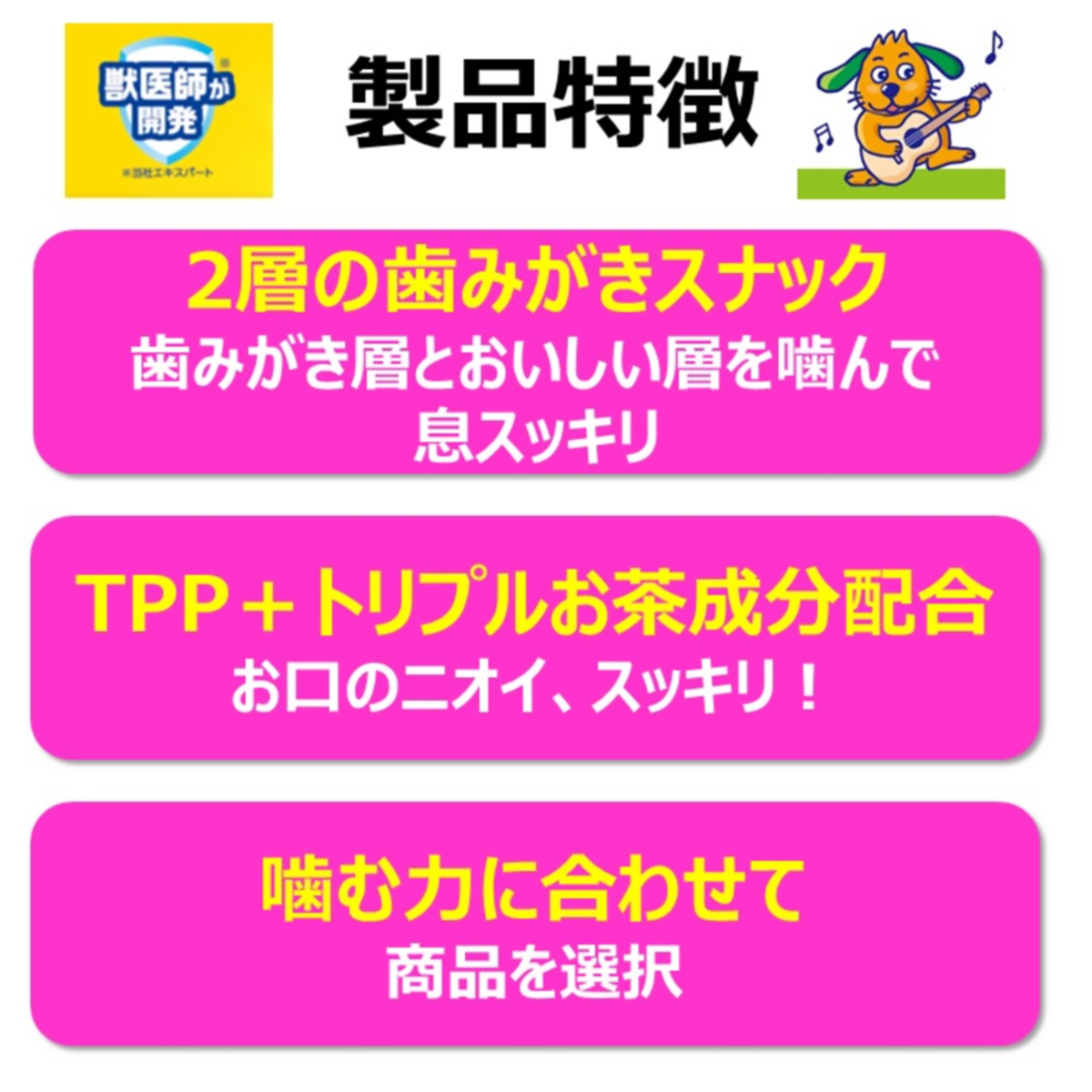 【ペット】食べられる歯みがきロープ愛犬用かためＳＳ　５５ｇ 270331