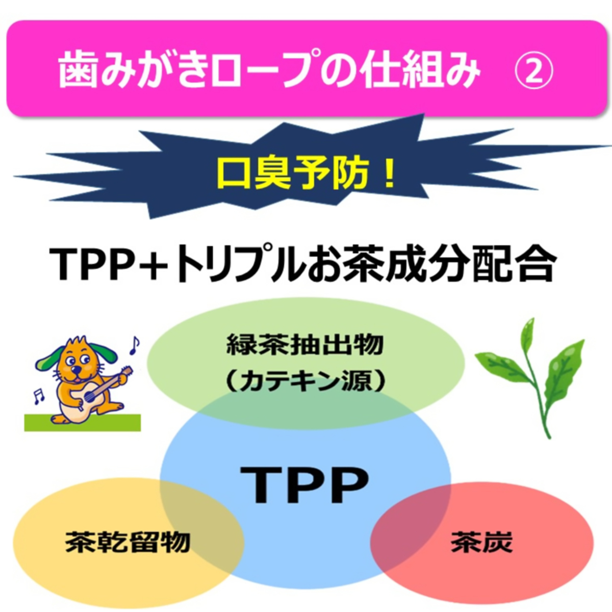 【ペット】食べられる歯みがきロープ愛犬用かためＳＳ　５５ｇ 270331