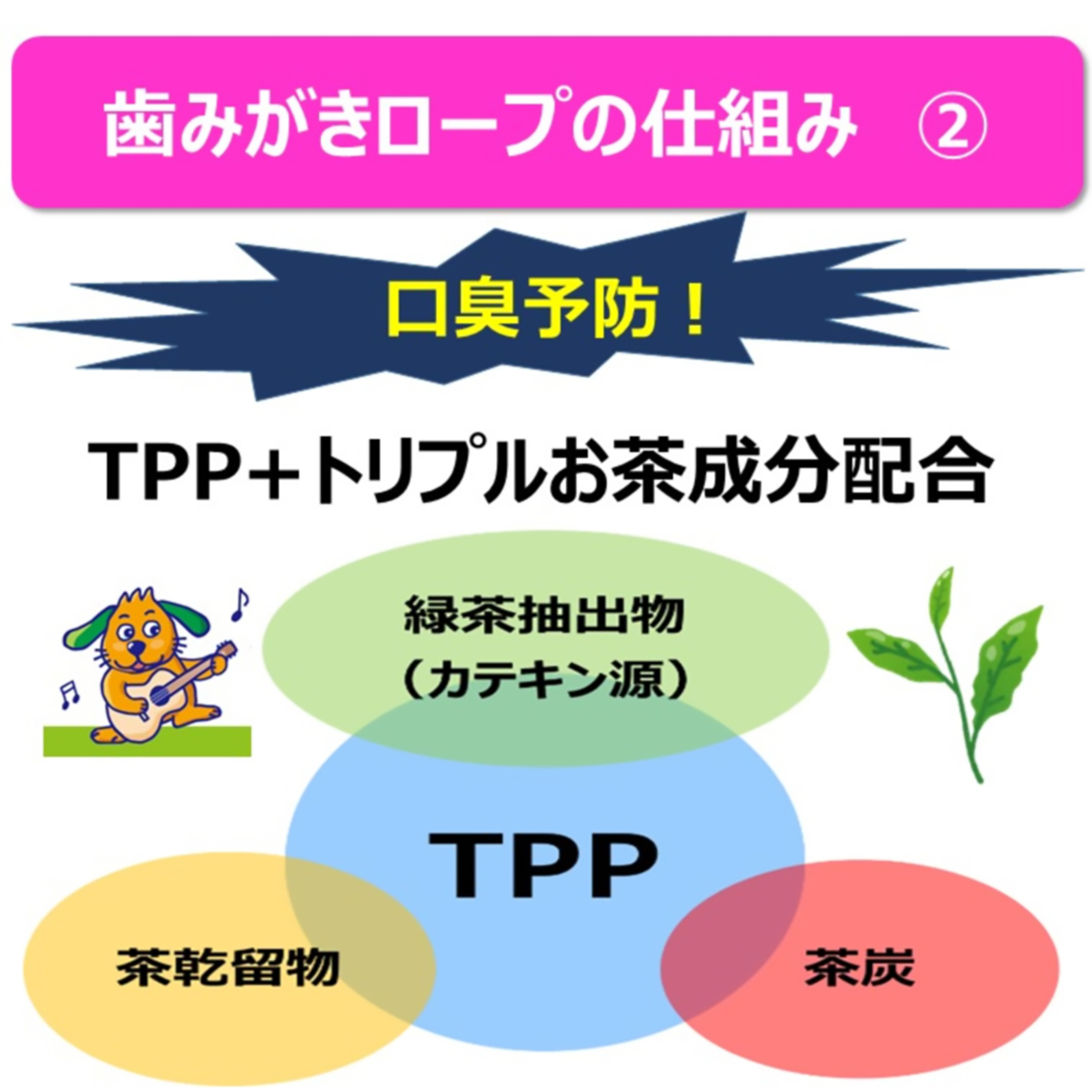 【ペット】食べられる歯みがきロープ愛犬用かためＳ　６５ｇ 270331