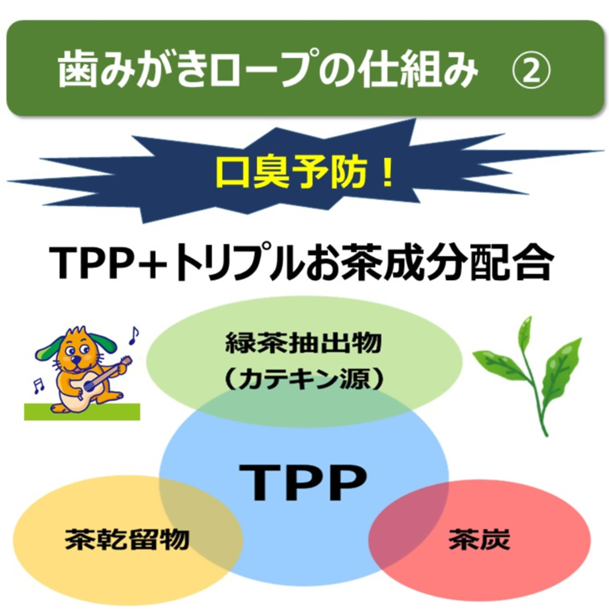 【ペット】食べられる歯みがきロープ愛犬用やわらかＳＳ　４５ｇ 260731
