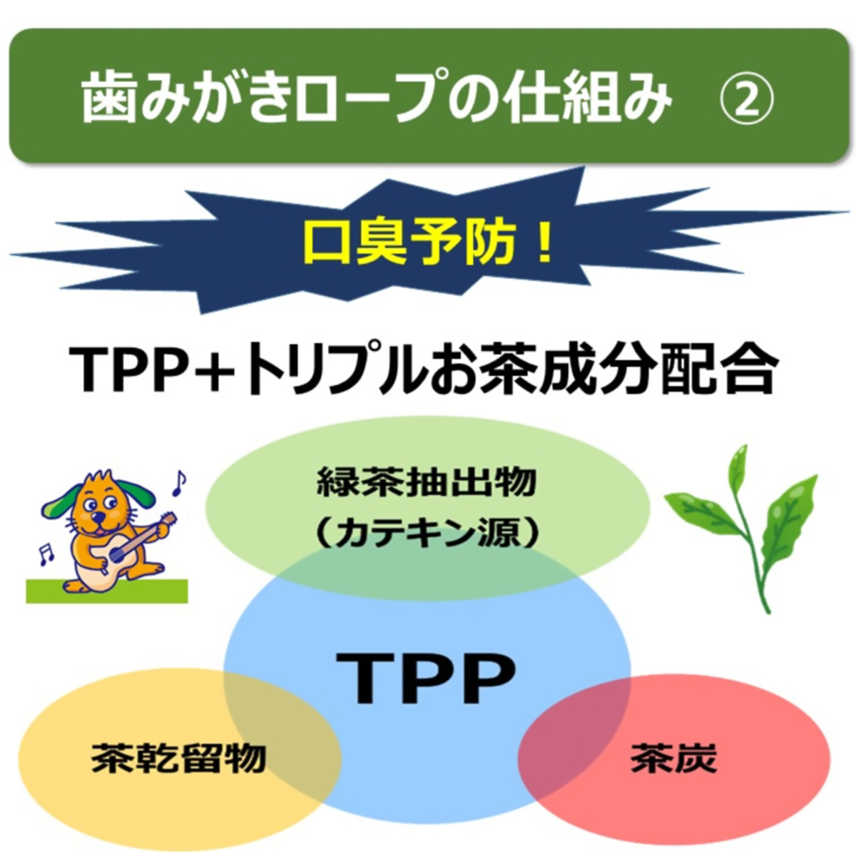 【ペット】食べられる歯みがきロープ愛犬用やわらかＳ　５５ｇ 260731