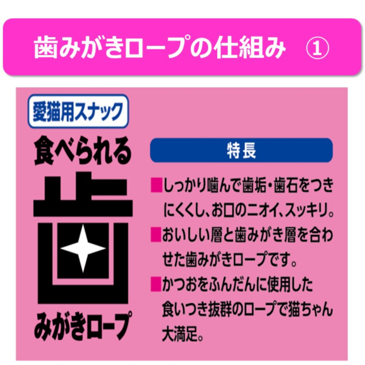 【ペット】食べられる歯みがきロープ愛猫用ややかため 20g 260630