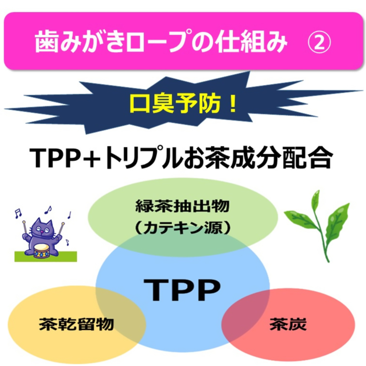 【ペット】食べられる歯みがきロープ愛猫用ややかため 20g 260630
