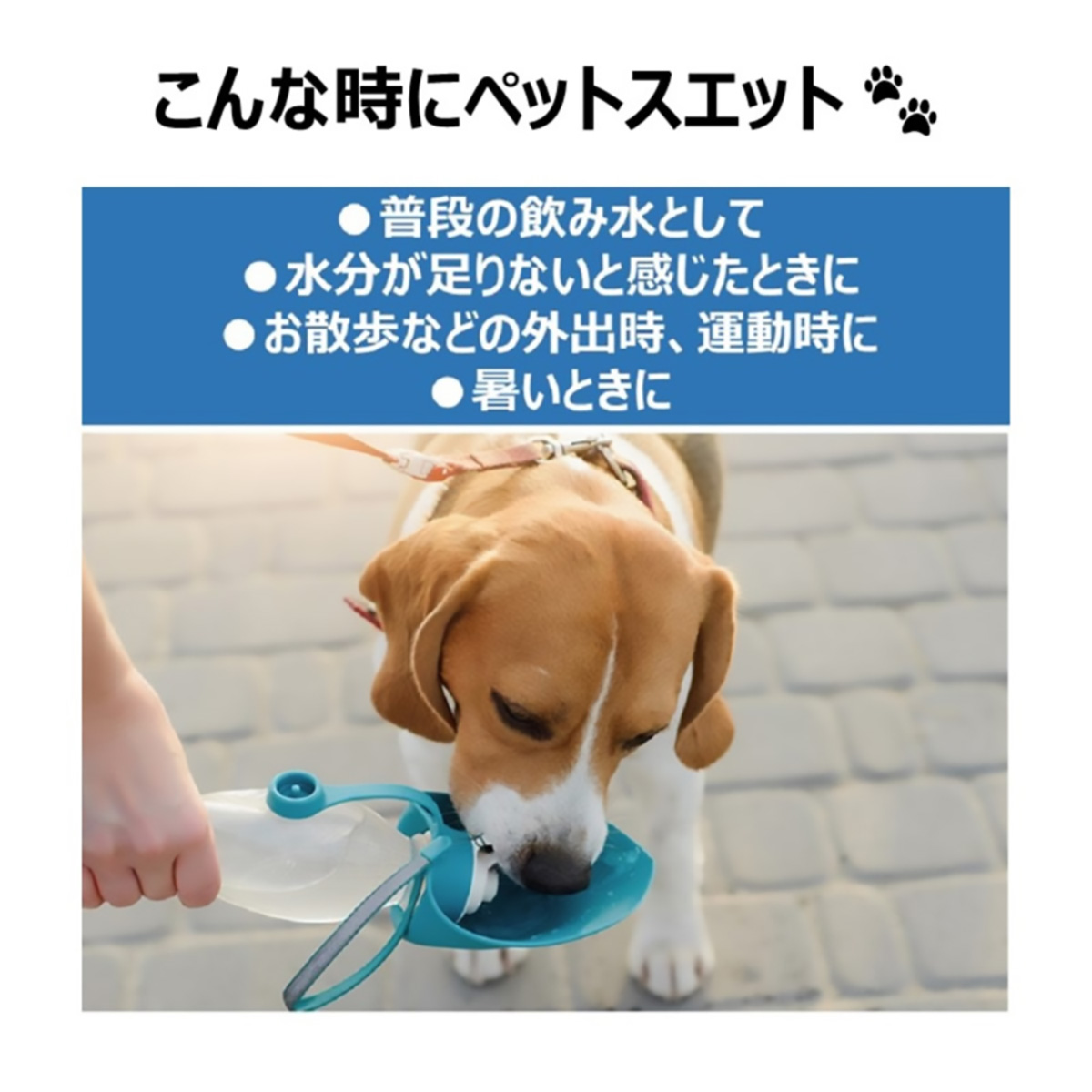 【ペット】ペットスエットポーションプチ　７個 261212