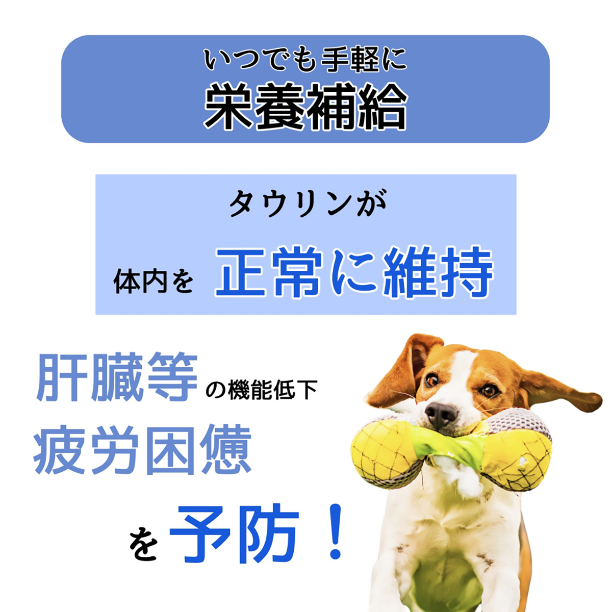 【ペット】わんわんカロリー　パワー　２７５ｍｌ 270430