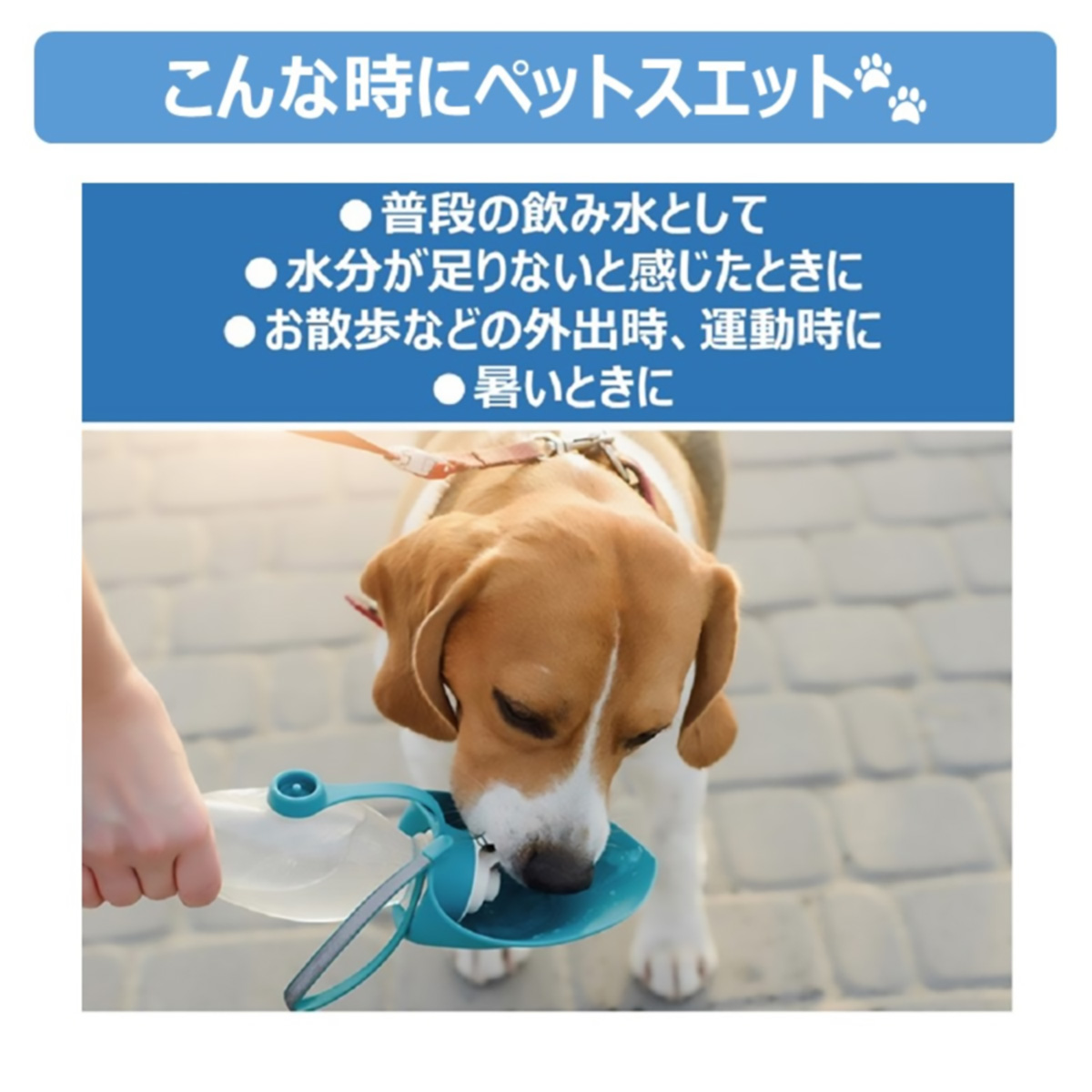 【ペット】ペットスエット パウダー 10g×5本 270331