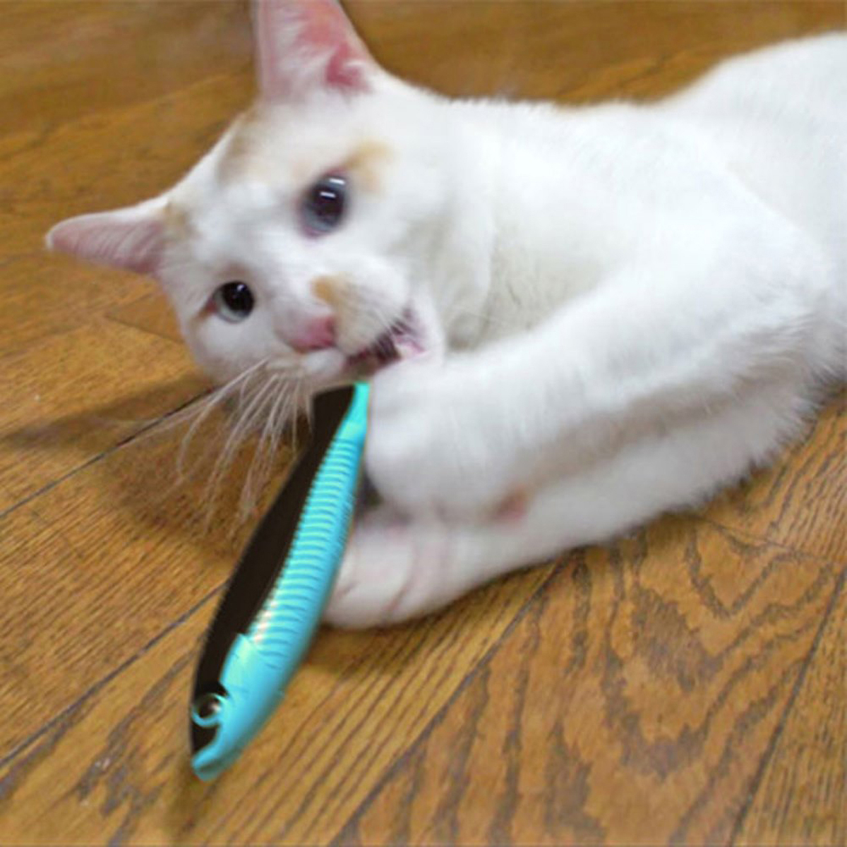 ペット】じゃれ猫発見！またたび魚 ブルー | かぜとゆき