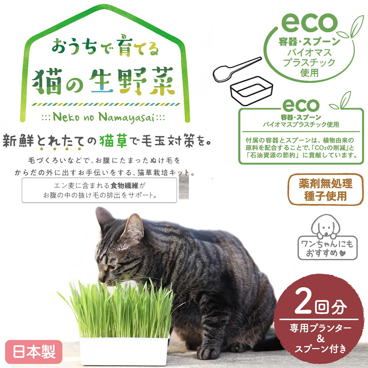【ペット】おうちで育てる　猫の生野菜　２回分　