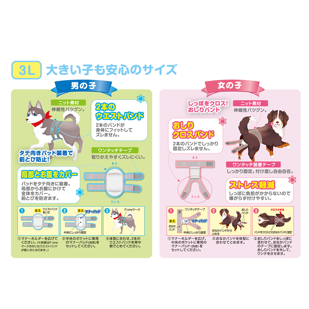 【ペット】男の子用マナーホルダーＡｃｔｉｖｅ　３Ｌ　