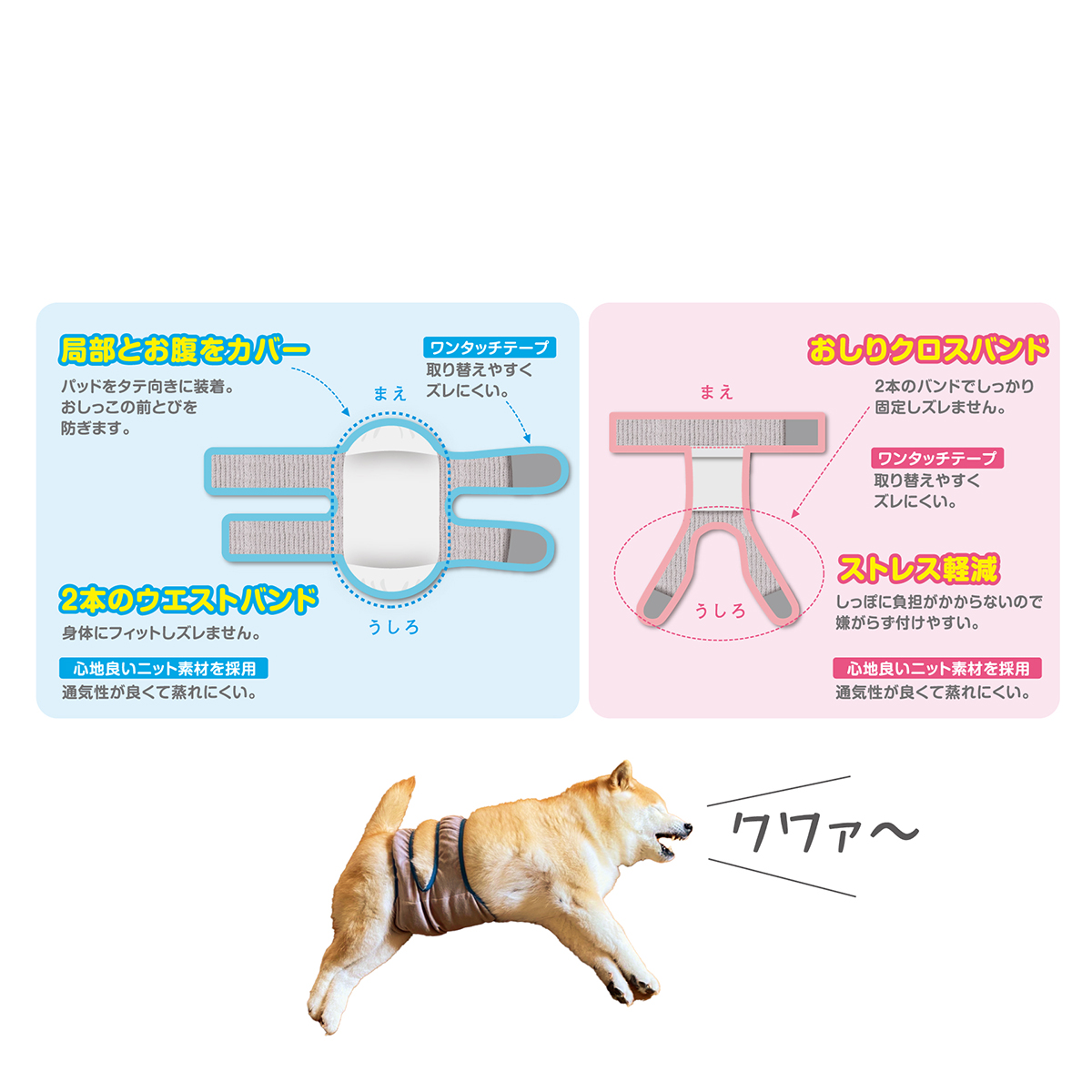 【ペット】女の子用マナーホルダーＡｃｔｉｖｅ　ＳＳ　