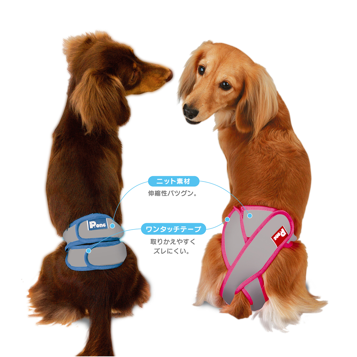 【ペット】女の子用マナーホルダーＡｃｔｉｖｅ　Ｍ　