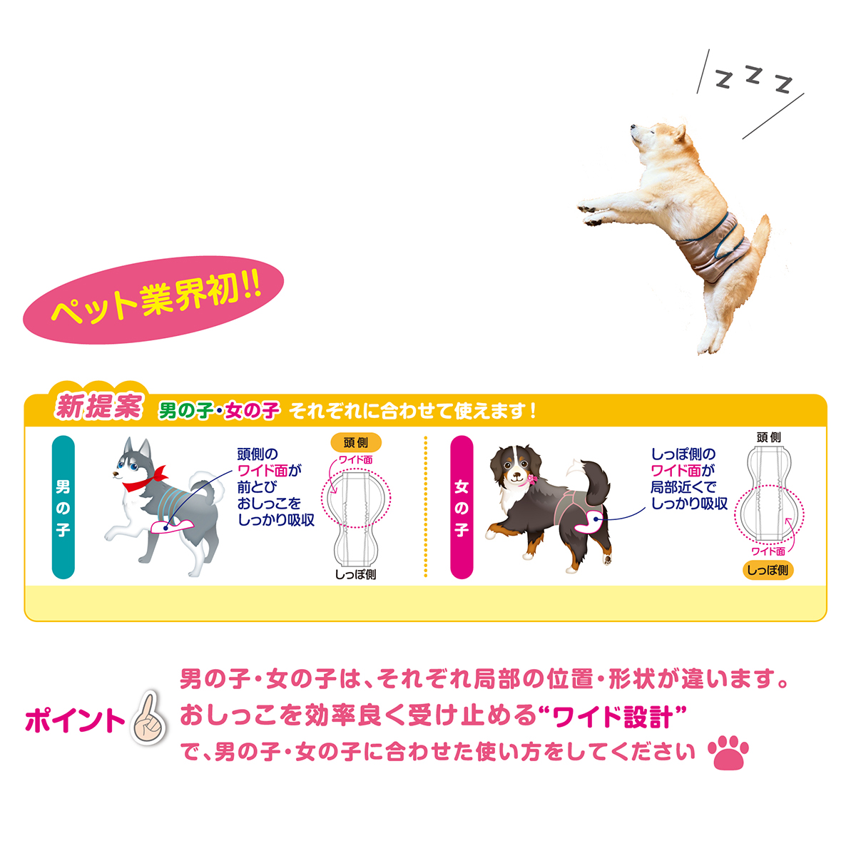 【ペット】男の子＆女の子用マナーパッドＡｃｔｉｖｅ　３Ｌ　８枚