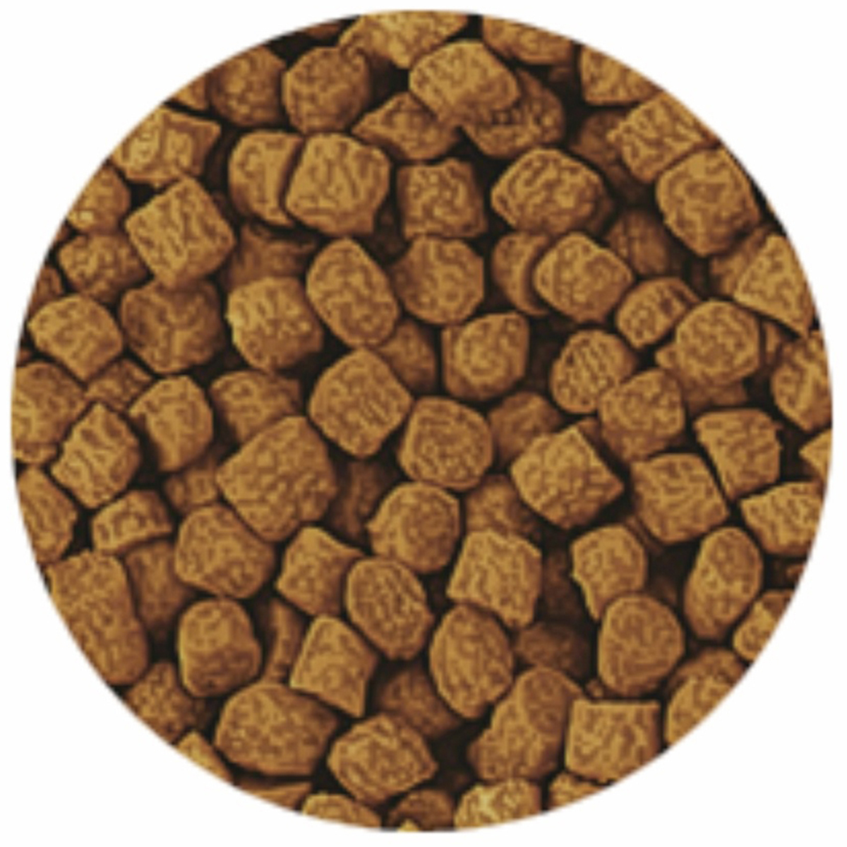 【ペット】テトラフィン　フン対策＋色揚げ強化　６０ｇ