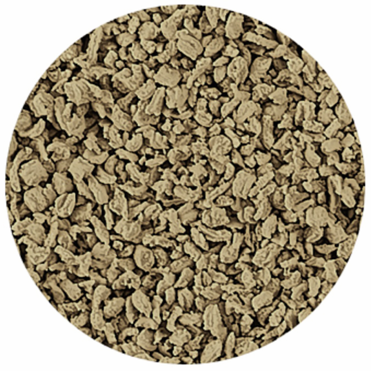 【ペット】テトラ　ディスカス　ブルー　１５０ｇ