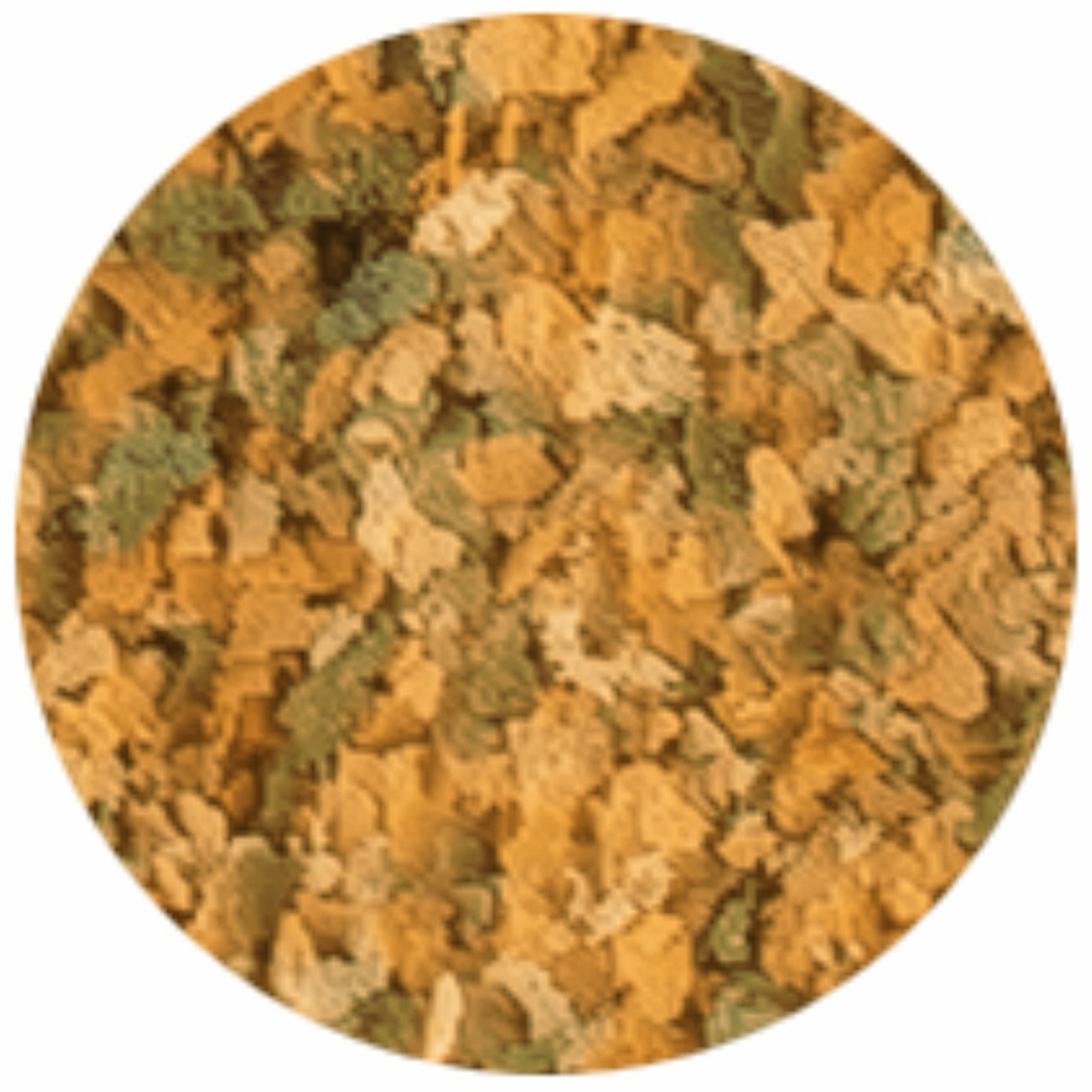 【ペット】テトラ　キリミン　繁殖＋カラー　２０ｇ