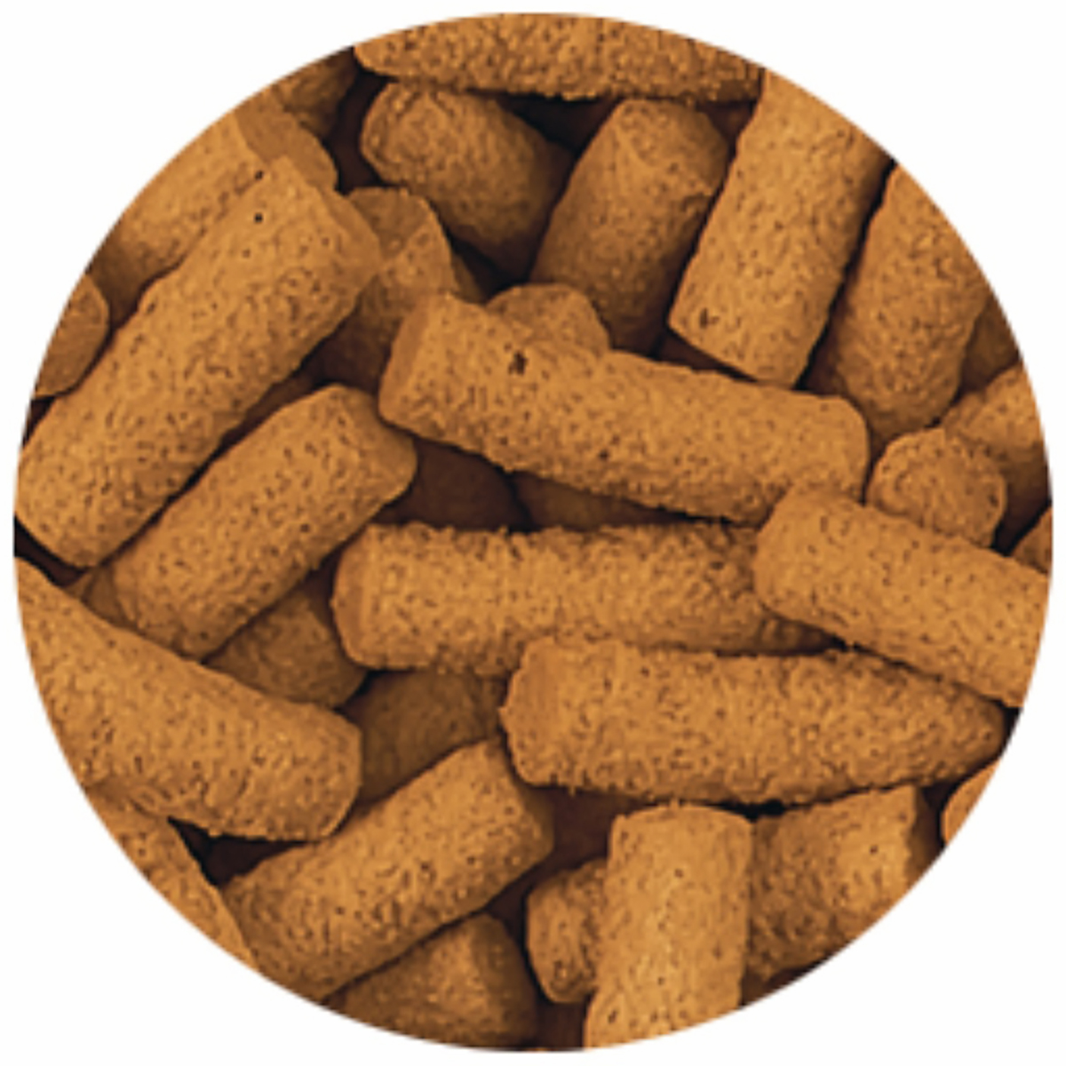 【ペット】テトラ　シクリッド　ミニスティック　７５ｇ