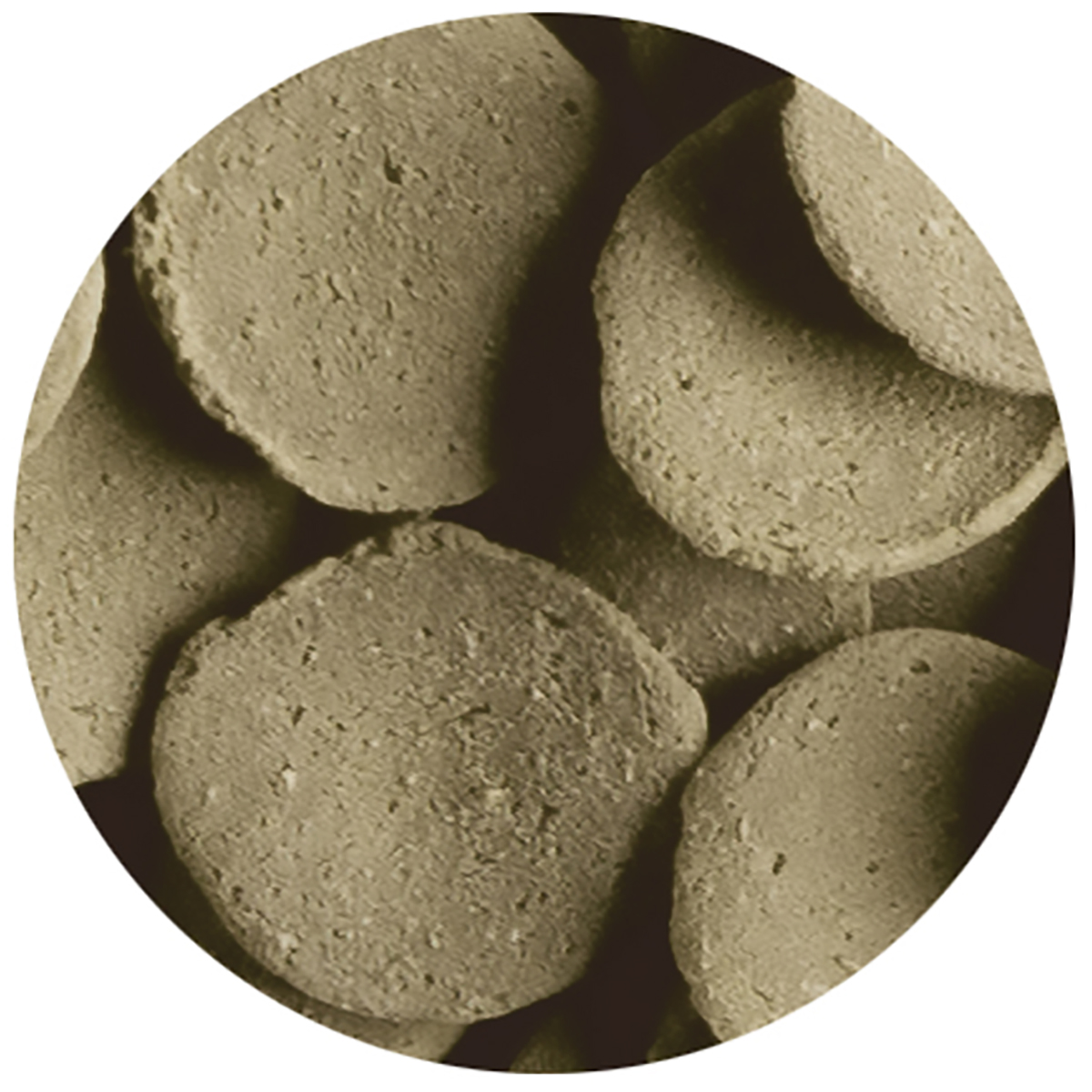 【ペット】テトラ　プレコ　８０ｇ
